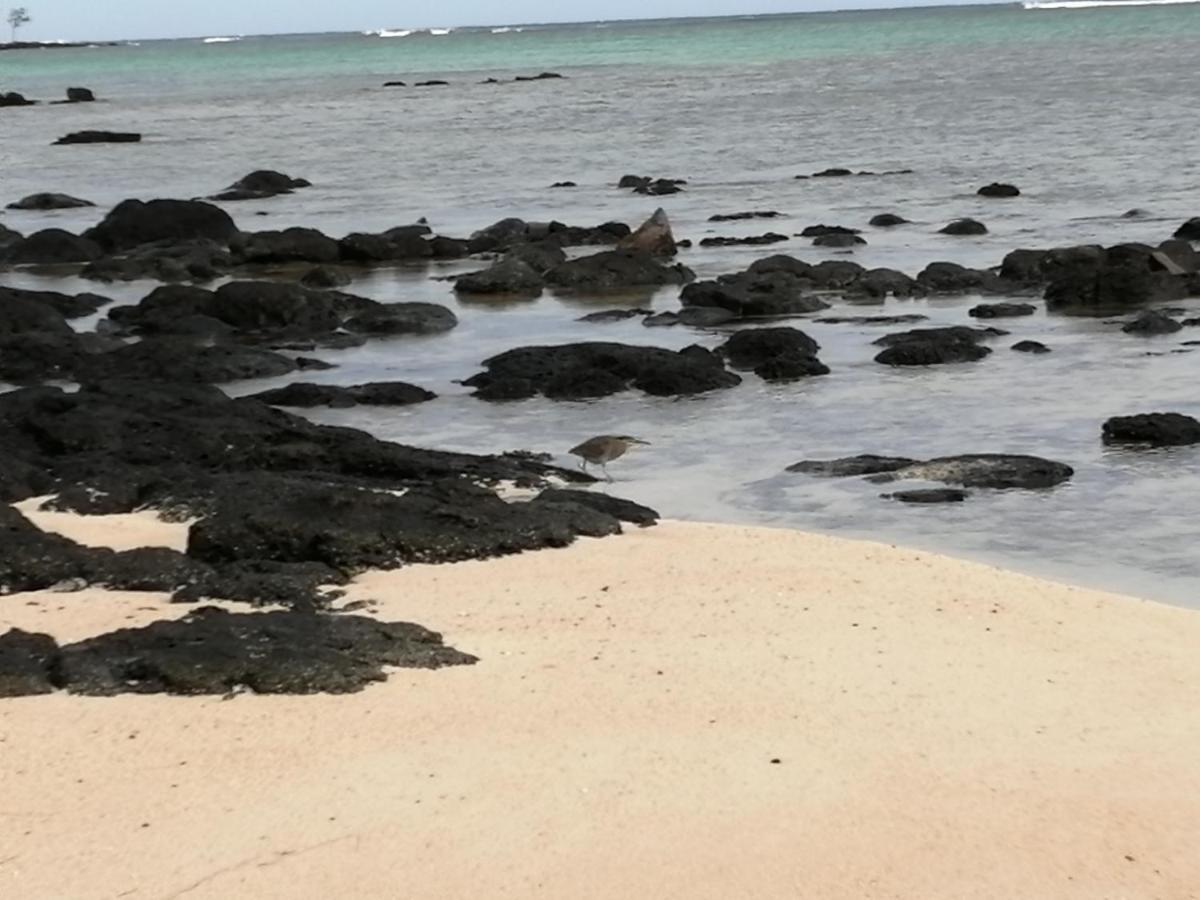 Apartament Les Filaos De Pereybere Pereybere Beach Zewnętrze zdjęcie